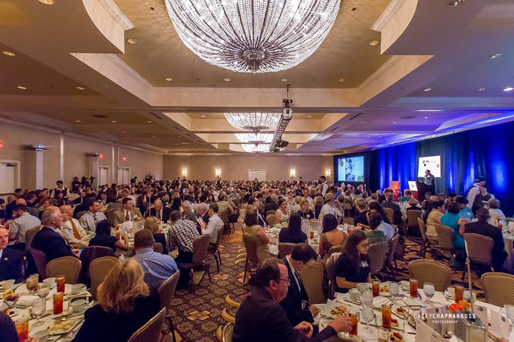 Annual Luncheon