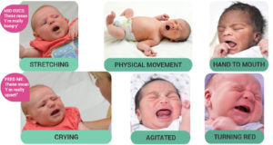 Signs of hunger in young babies