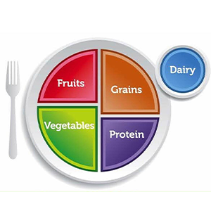 MiPlato gráfico de choosemyplate.gov