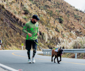 dog with human