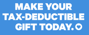 make a tax-deductible gift today - button